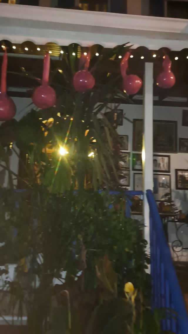 Şirince'de Yeni Yıl Coşkusu: Selanik Pansiyon'da 2025'e Merhaba